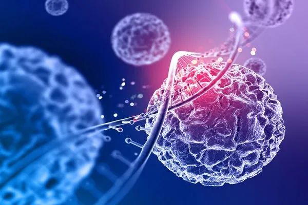 Stem cells for hair transplant: All you need to know 1 Stem cells for hair transplant: All you need to know