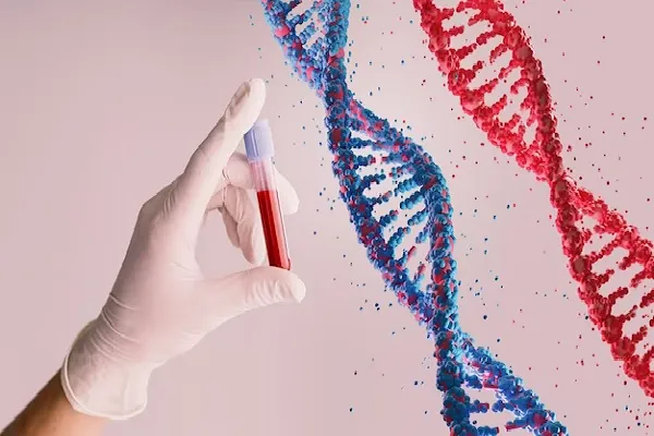 Stem cells for hair transplant: All you need to know 4 Stem cells for hair transplant: All you need to know
