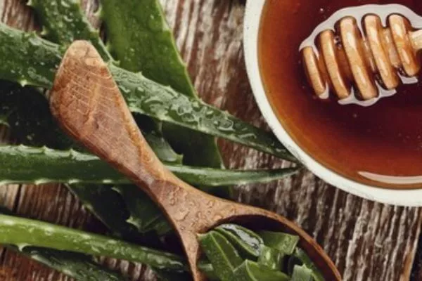 Aloe Vera for hair: Benefits and DIY Treatments