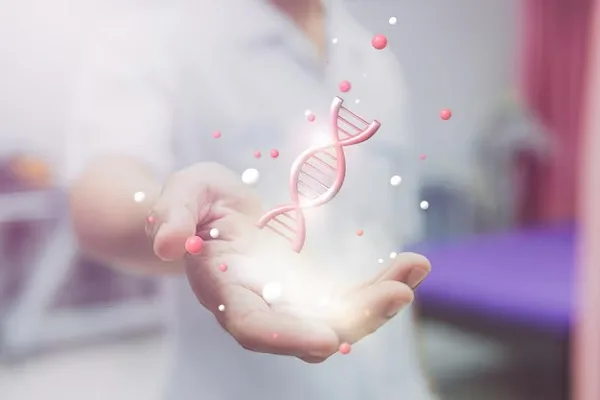 Stem cells and baldness 2 Stem cells and baldness