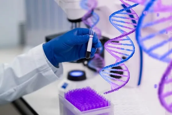 Stem cells and baldness 4 Stem cells and baldness