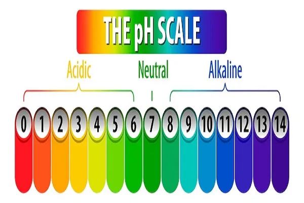 What is the Hair pH? DIY tips to balance it 1 What is the Hair pH? DIY tips to balance it