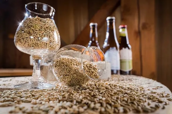 Brewer’s Yeast for hair: Does it work?