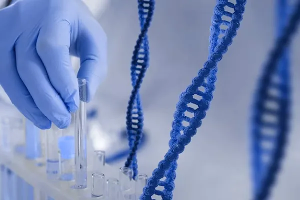 Stem cells and baldness 7 Stem cells and baldness