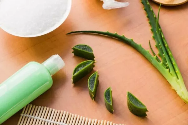 Aloe Vera for hair: Benefits and DIY Treatments