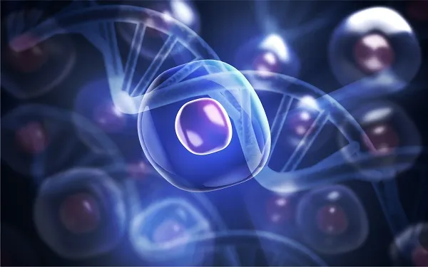 Stem cells for hair transplant: All you need to know 7 Stem cells for hair transplant: All you need to know