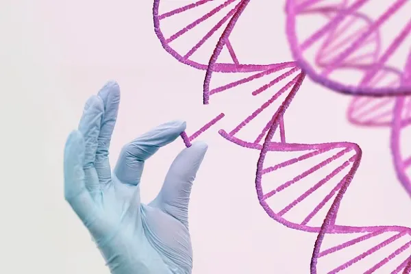 Stem cells for hair transplant: All you need to know 3 Stem cells for hair transplant: All you need to know