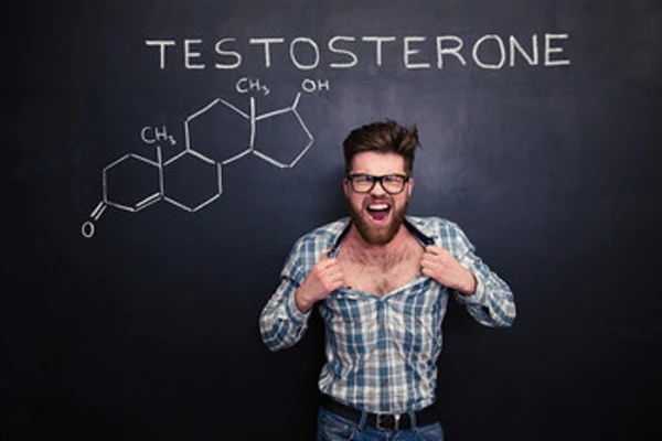 Can Testosterone Cause Hair Loss? 1 Can Testosterone Cause Hair Loss?