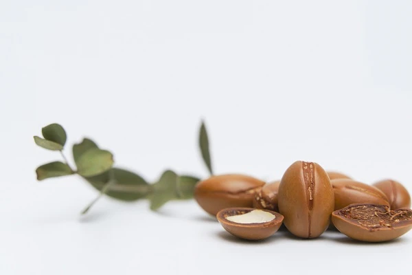 The benefits of using Argan oil for Hair