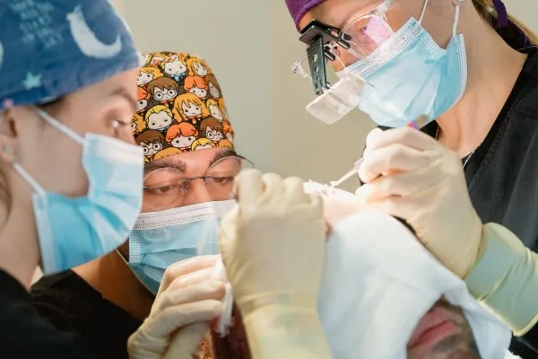 Which is the best hair transplant clinic in Turkey?