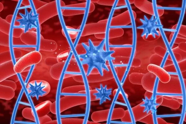 Relationship between Alopecia and Blood Circulation 4 Relationship between Alopecia and Blood Circulation