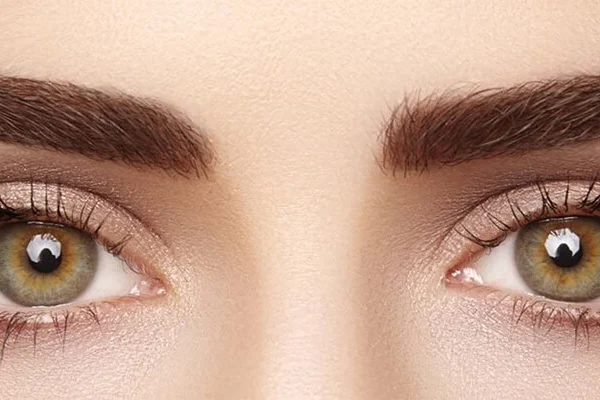 Eyebrow Transplant