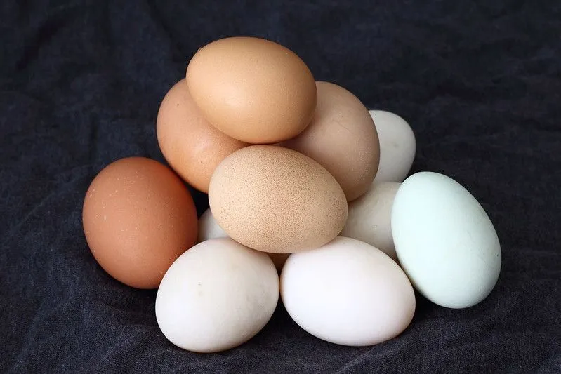 Cómo evitar la caída del pelo con productos naturales
