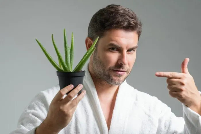 Bienfaits de l’aloe vera sur vos cheveux