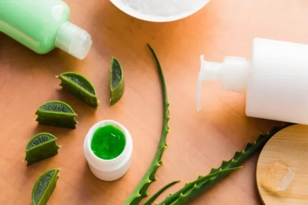 Bienfaits de l’aloe vera sur vos cheveux