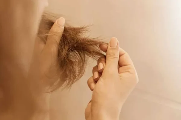 Cheveux secs, comment hydrater et réparer