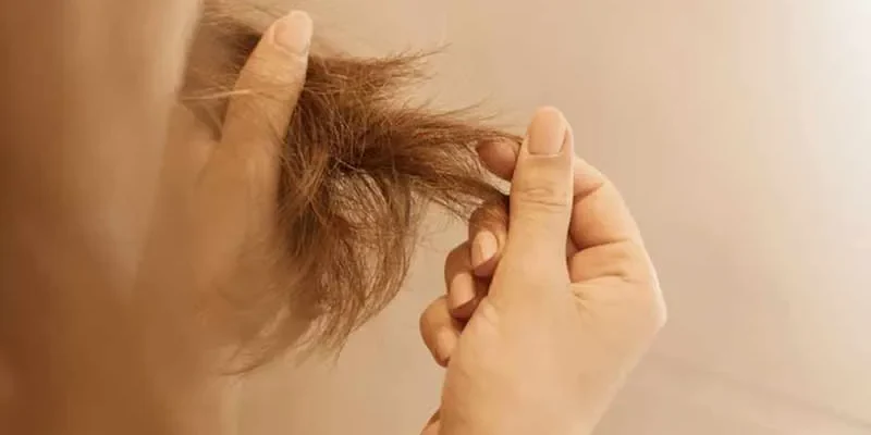 Cheveux secs, comment hydrater et réparer 1 Cheveux secs, comment hydrater et réparer