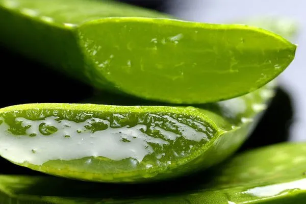 Cómo nutrir el pelo seco y con frizz