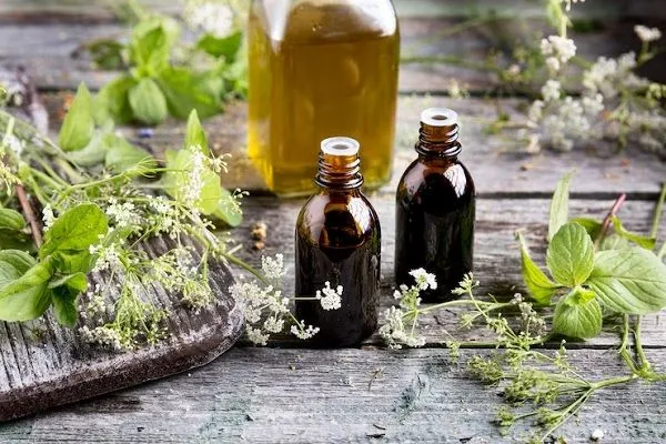 ¿Cómo tener un cabello grueso y saludable?