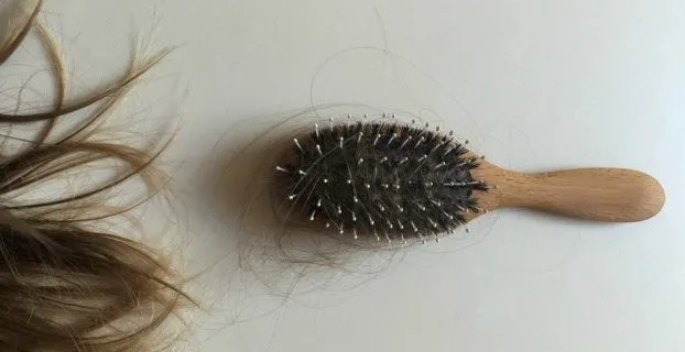 Por qué se nos cae más el pelo en primavera 1 Por qué se nos cae más el pelo en primavera