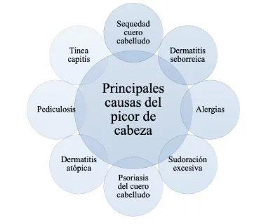¿Por qué me pica la cabeza y se me cae el cabello? 3 ¿Por qué me pica la cabeza y se me cae el cabello?