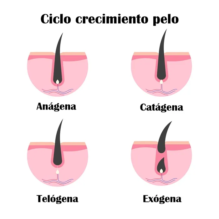 Todo sobre la alopecia: causas, tipos, diagnóstico y tratamientos médicos 3 Todo sobre la alopecia: causas, tipos, diagnóstico y tratamientos médicos