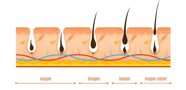 Tips para hacer crecer el pelo rápido 3 Tips para hacer crecer el pelo rápido