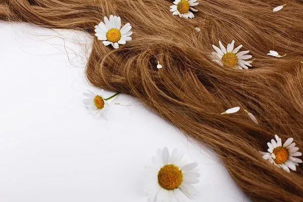 ¿Cómo encontrar un buen kit para el cuidado del cabello?