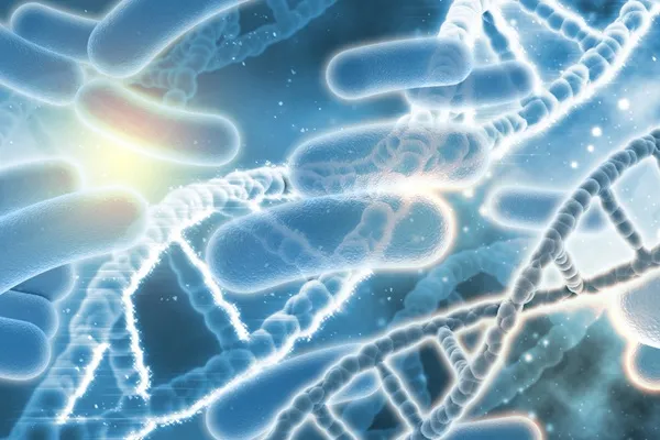 La influencia del microbioma del cuero cabelludo en el éxito del trasplante capilar 2 La influencia del microbioma del cuero cabelludo en el éxito del trasplante capilar