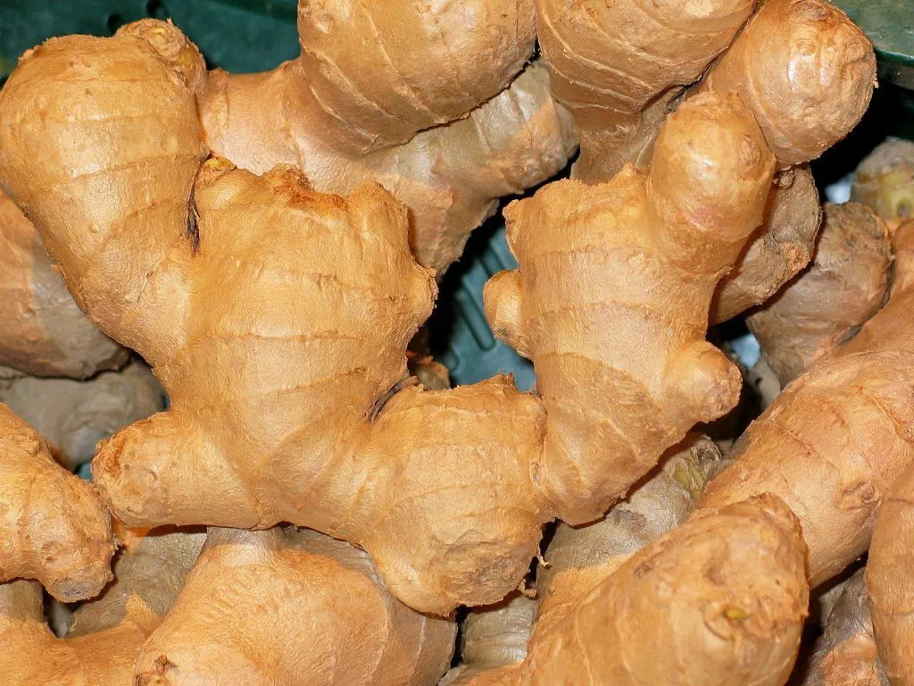 Cómo evitar la caída del pelo con productos naturales