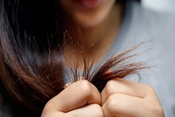 Cómo sanear el pelo en poco tiempo