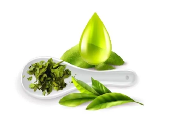 Té verde para embellecer tu cabello