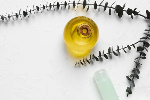 Perché usare l’olio d’oliva per i capelli? 5 Perché usare l’olio d’oliva per i capelli?
