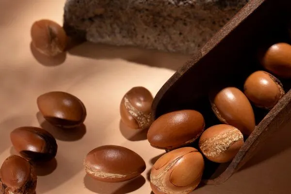 Quali sono i benefici dell’olio di argan per i capelli? 7 Quali sono i benefici dell’olio di argan per i capelli?