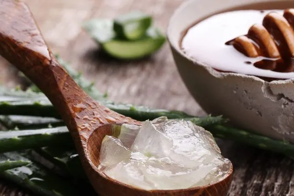 Benefici dell’aloe vera sui capelli 2 Benefici dell’aloe vera sui capelli