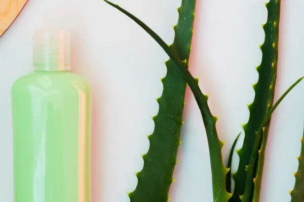 Benefici dell’aloe vera sui capelli 3 Benefici dell’aloe vera sui capelli