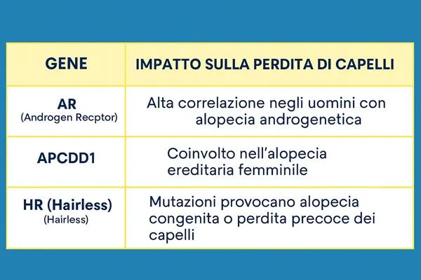 Geni che causano l’alopecia 3 Geni che causano l’alopecia