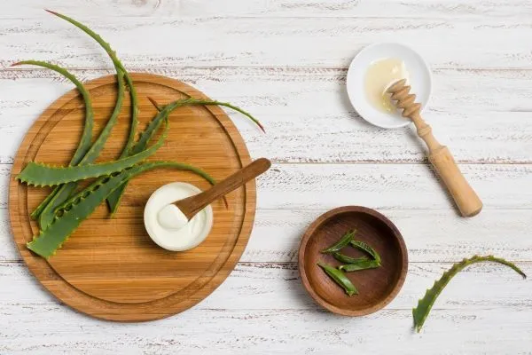 L’aloe vera fa crescere i capelli?