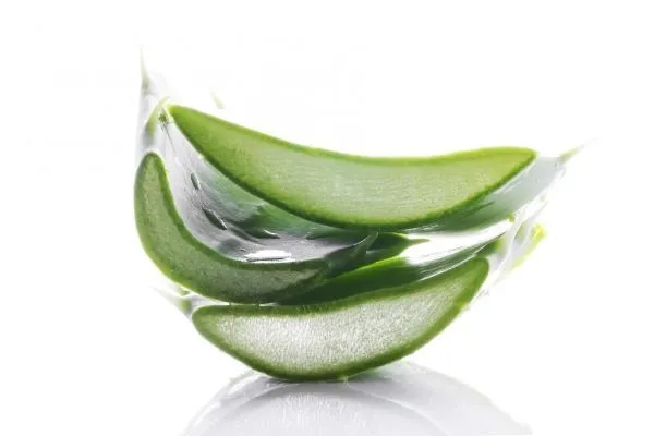 L’aloe vera fa crescere i capelli?