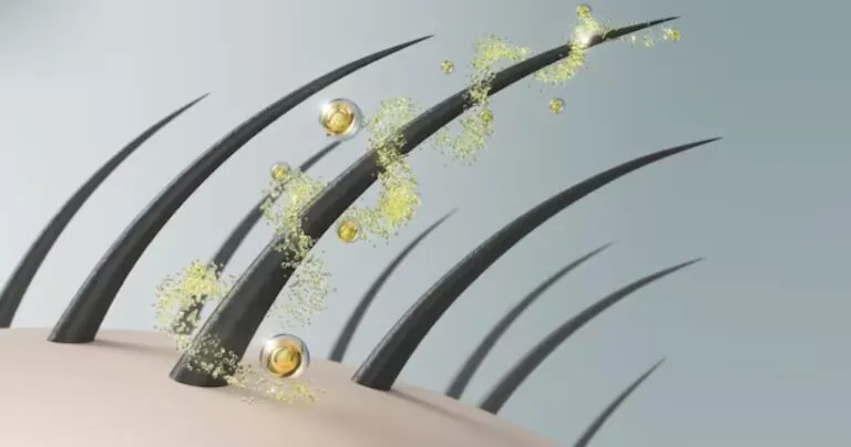 L’influence du microbiome du cuir chevelu sur la réussite d’une greffe de cheveux 2 L’influence du microbiome du cuir chevelu sur la réussite d’une greffe de cheveux