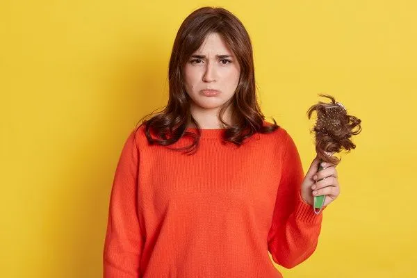La mia coda è sempre più fina: diventerò calva? 1 La mia coda è sempre più fina: diventerò calva?