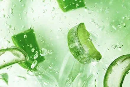 L’aloe vera fa crescere i capelli?