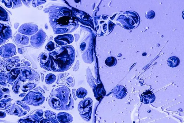 Cellule staminali per combattere l’alopecia 3 Cellule staminali per combattere l’alopecia