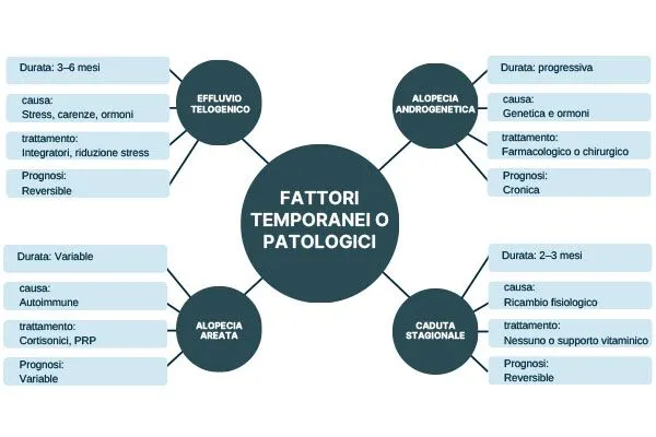 Perdo molti capelli: quanto è normale e quanto non lo è? 5 Perdo molti capelli: quanto è normale e quanto non lo è?
