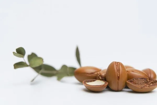 Quali sono i benefici dell’olio di argan per i capelli?