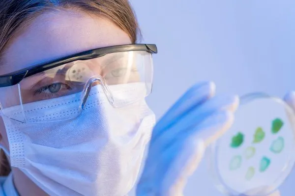 Cellule staminali per combattere l’alopecia 5 Cellule staminali per combattere l’alopecia