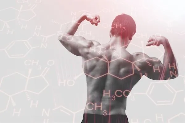 Il testosterone alto fa cadere i capelli?