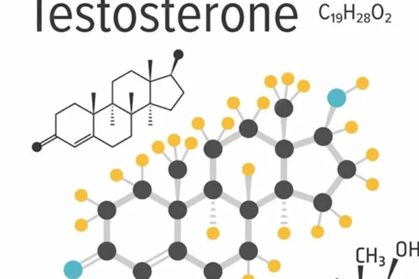 Testostérone et perte de cheveux : comprendre le lien hormonal