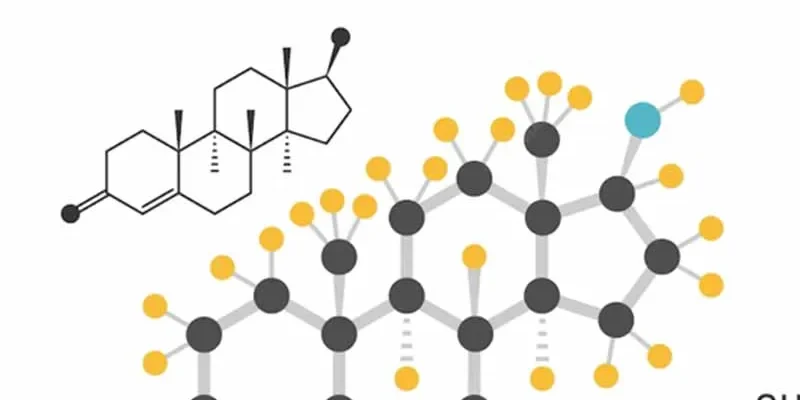 Testostérone et perte de cheveux : comprendre le lien hormonal